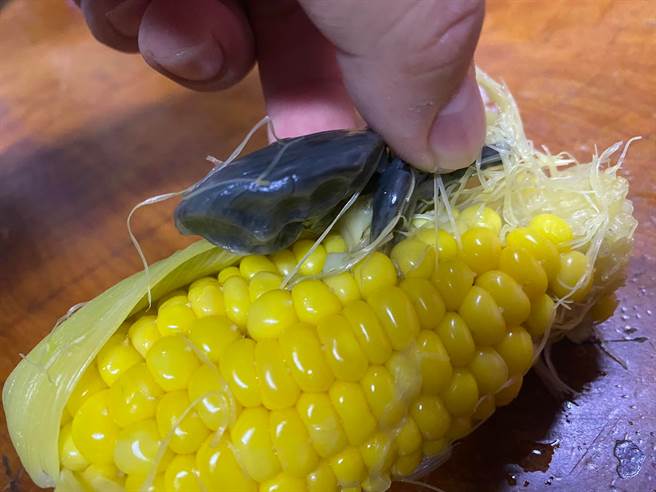 民眾水煮玉米惊见黑色物体，内行网友认证是顶级美食。（图／翻摄脸书花莲同乡会）