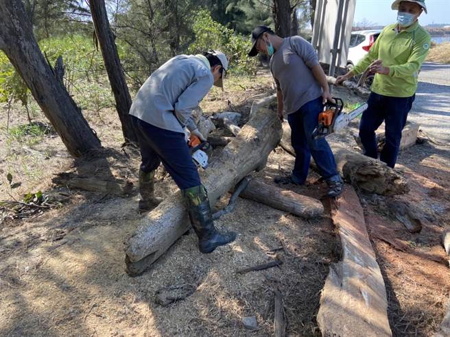 木工老师指导志工利用漂流木制作休憩椅。（嘉义林管处提供∕吕妍庭嘉义传真）