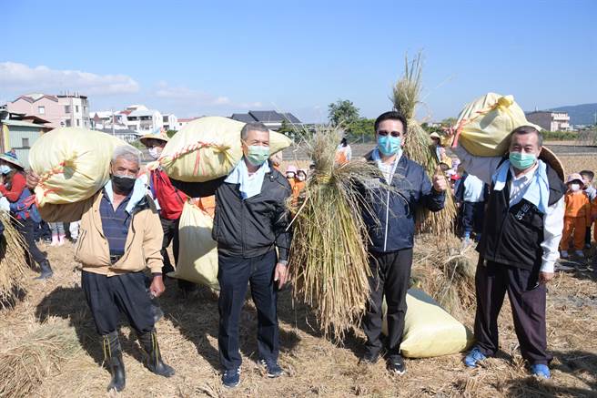 社头乡农会和崙雅国小合力举办手工割稻活动，彰化县副县长洪荣章（右二）、社头乡农会总干事萧浚二（左二）也亲自下田带头示范。（谢琼云摄）
