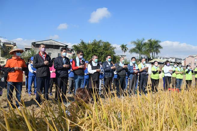 饮水思源、吃果子拜树头；社头农会带着崙雅国小孩子们集体拜拜祈福后才开始割稻作业。（谢琼云摄）