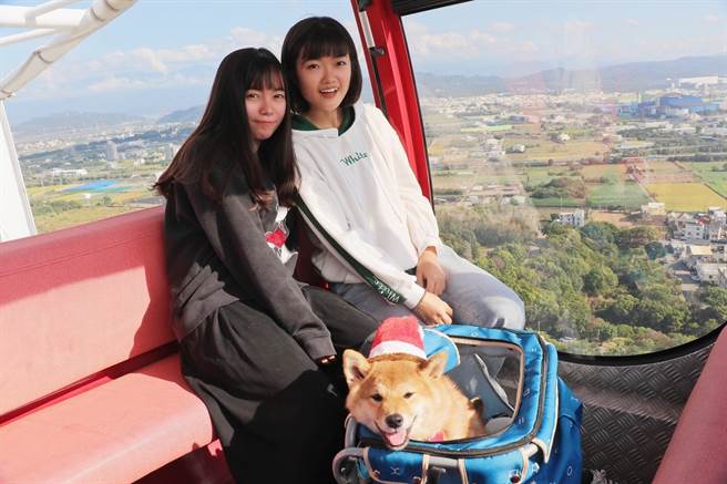 狗狗也能搭摩天輪，天空之夢首度推出寵物有善車廂，限時限量開放。（麗寶樂園渡假區提供／陳淑娥台中傳真）