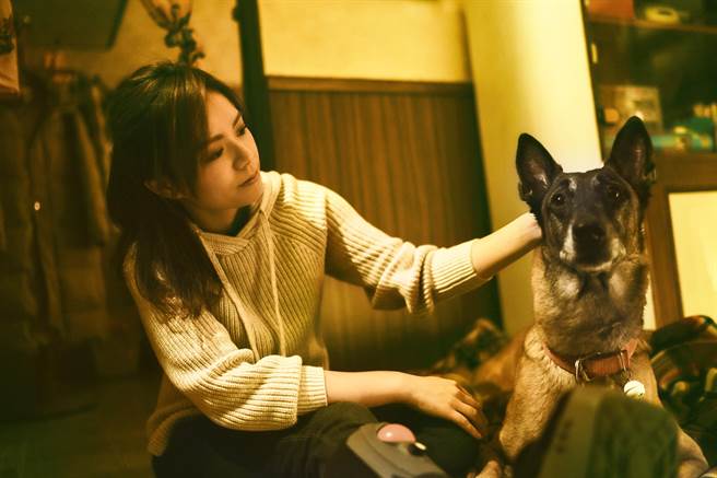 《月老》中宋芸桦所饲养的狗狗「阿鲁」被认为是全片最大哭点。（传影提供）