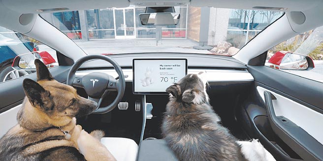 Tesla「寵物模式」會自動維持適當溫度，中央觸控螢幕會放大溫度數值，以提醒車外路人寵物正處於安全舒適的環境。若電力低於 20%，系統會自動通知車主盡快返回充電。（Tesla提供）