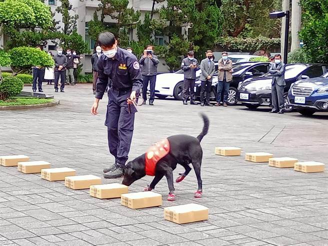 緝毒犬表演（調查局提供）