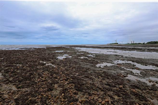 中油表示，在野黨立委協同藻礁聯盟的潘忠政等人再次前往大潭現場勘查。由現場情況就可看到藻礁都在，過去藻礁聯盟一再強調的被活埋、判死刑，也證明不是事實。圖為觀新藻礁生態區，右後方為興建中的大潭電廠。（陳麒全攝）