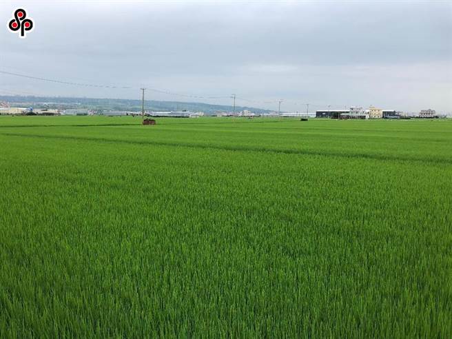 立法院今(7)日三读通过「农民健康保险条例」部分条文修正草案及「农民退休储金条例」第3条之1修正草案，其中服短役期退伍青年返乡务农时，可参加农保并提缴农民退休储金。（本报系资料照）