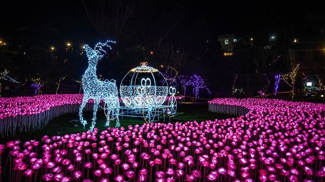 谷關溫泉公園「心花朵朵開」萬朵LED玫瑰燈海同步開燈。（王文吉攝）