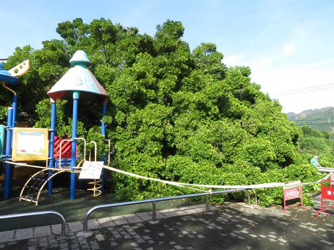 倒塌时校门口旁幼儿园的游憩设施整个被覆盖，停在旁边的货车车斗也被压扁受损，但幸好当时没有人伤亡。（校方提供／吴建辉彰化传真）