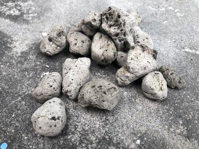 日本小笠原群岛火山8月喷发，火山浮石已漂流至台湾东部外海，有的细如砂石，最大的约网球大小。（七星潭安检所提供／王志伟花莲传真）