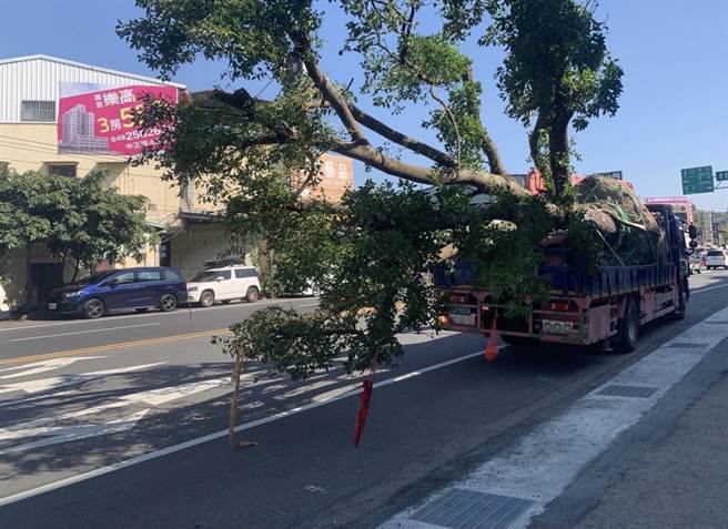 １辆载运巨大树木的大货车，７日上午行经南投县草屯镇中正路与博爱路口时，驾驶疑似未注意到树木高度，不慎勾到路旁电线杆电线。(警方提供／吴建辉彰化传真)