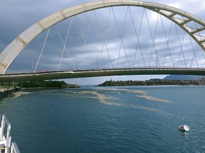 日本小笠原群島火山今年8月噴發，近日於基隆沿岸及漁港發現浮石蹤跡。（基隆市政府提供／陳彩玲基隆傳真）