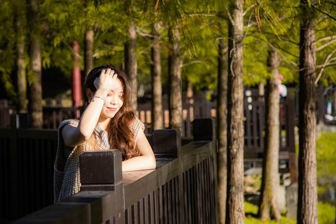 士林北投復古x文青打卡景點地圖-台北最強落羽松秘境「原住民文化主題公園」