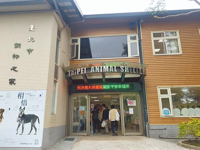 北市动保处长宋念洁昨表示，动物之家拟朝原址兴建不挖地下室，中继动物之家也将改为永久利用，做为收容猫只的区域，柯市长也已点头答应。（游念育摄）