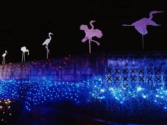 台南總爺「迷漾森林」耶誕燈飾 愈夜愈美麗