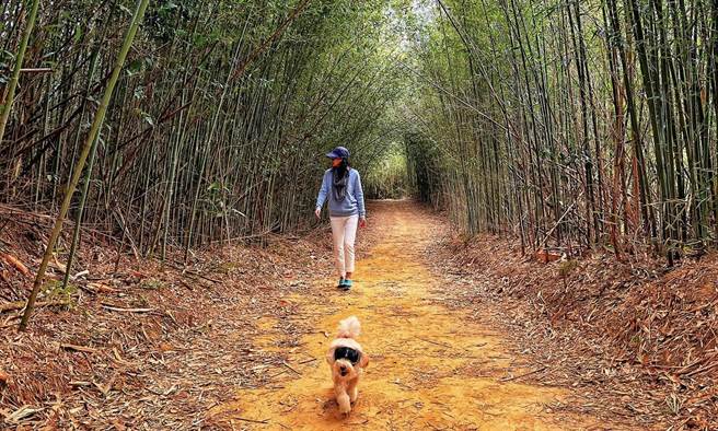 蔺奕》2021是过往爱过一切的迭加。(图/爱传媒提供)