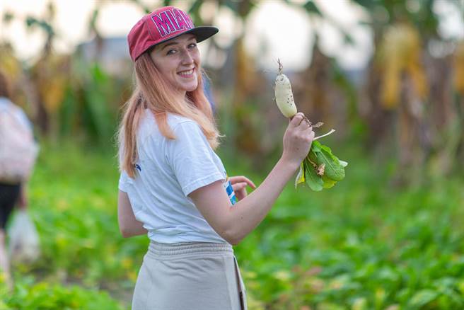 高雄农村社区将让民眾在寒冷冬天，感受农村的专属热情。（高雄市农业局提供／林雅惠传真）
