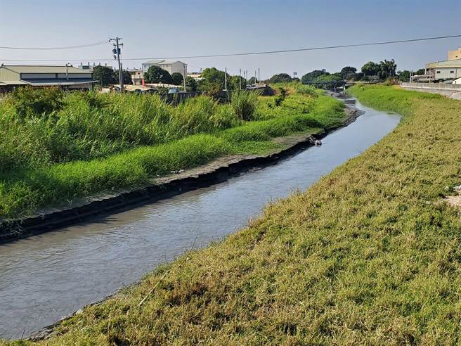 右岸是羊吃过草的河岸，左岸是原始状态。（周丽兰摄）