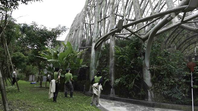 各區同仁及獸醫師接獲通知後立即出動，於穿山甲館周圍串起封鎖線盯場支援。（北市動物園提供／楊亞璇台北傳真）