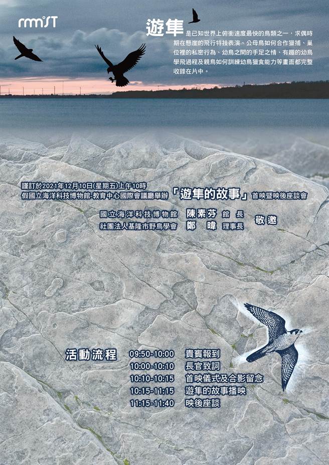 基隆野鸟学会花6年拍摄「游隼的故事」纪录片，今天上午10点在海科馆举办首映暨座谈会。（国立海洋科技博物馆提供／陈彩玲基隆传真）
