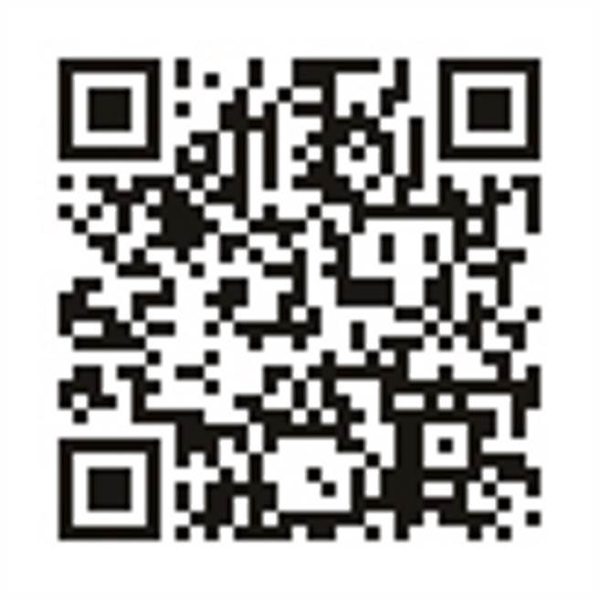 闪耀黑金—圣诞派对