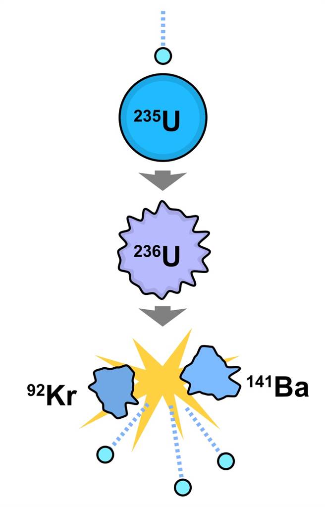 鈾235的連鎖反應，原子核被中子撞擊後，生成鋇與氪，另外再多出2.4個中子。(圖/WIKI)