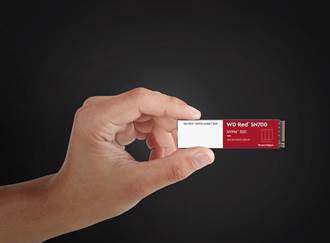 Western Digital發表全新快閃記憶體解決方案WD Red SN700 NVMe SSD