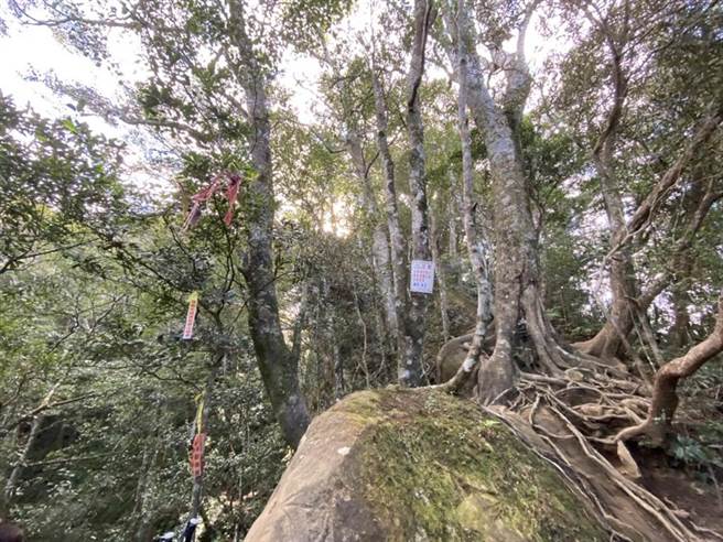 通往內鳥嘴山有多條山徑，使不熟悉路線的登山者容易迷路，新竹縣消防局也做了指標提醒民眾留意。（莊旻靜攝）