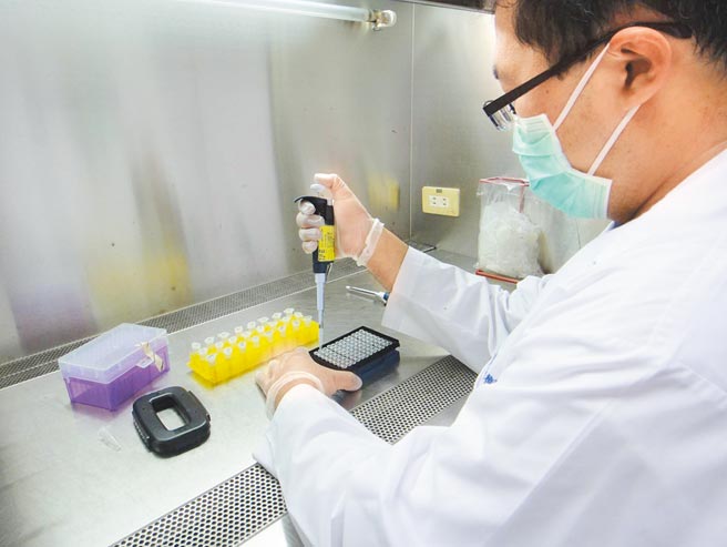 台南市政府卫生局检验中心明年启动「黄豆基改定量」检验，图为检验人员进行基改食品基因检测。（台南市卫生局提供／曹婷婷台南传真）