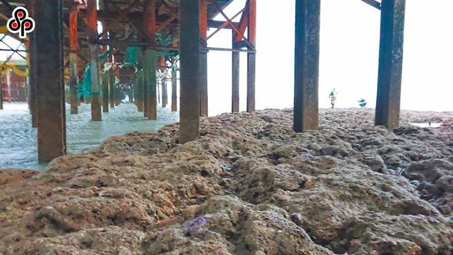 邱文彦说，「不破坏藻礁」的说法已经不起检验，政府似是而非的说词明显是在误导民眾。图为三接栈桥施工现场。（本报系资料照）