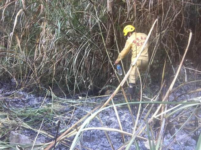 国家森林救火队改赴中横便道抢救山林火灾。（东势林管处提供／王文吉台中传真）
