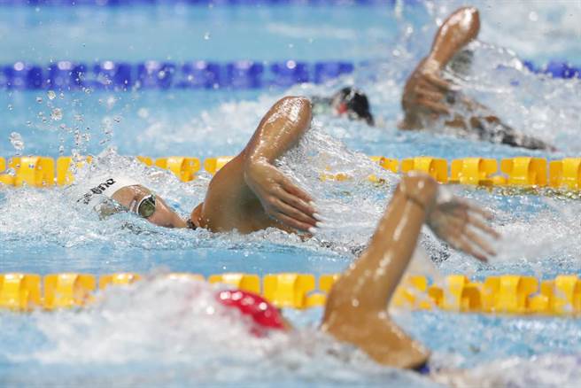 女子自由式游泳比赛。（美联社资料照）
