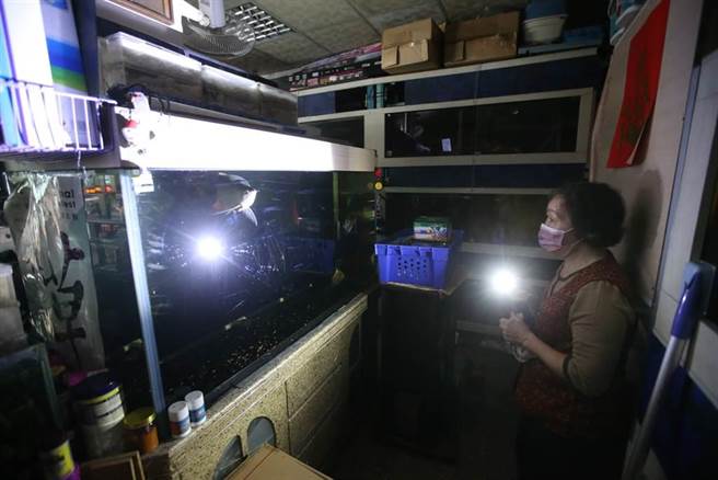 北市文山區景隆街的台電變電所發生爆炸，雙北逾30萬戶停電，停電後文山區一間水族館老闆，趕緊用手電筒察看店裡的魚是否有受到影響。（趙雙傑攝）
