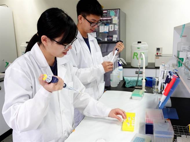 中正学生团队研发了双效合一的抗菌敷料能有效杀死超级细菌。（图/中正大学提供）