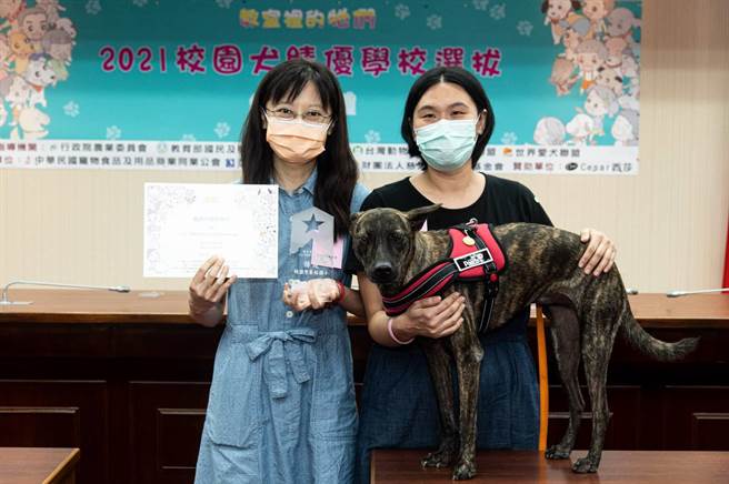 大园区菓林国小校犬小虎于2021校园犬绩优选拔中获得特优，9月更赴立法院领奖。（菓林国小提供／陈梦茹桃园传真）
