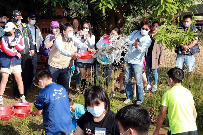 台南市长黄伟哲（拿红色脸盆者）到场开心体验田间捉泥鰍的乐趣。（台南市政府提供／张毓翎台南传真）