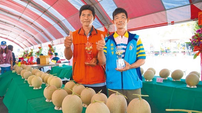 今年台南市北門區洋香瓜評鑑大賽綠肉組及紅肉組冠軍，分別由瓜農郭明佩（右）、郭寶結（左）獲得。（張毓翎攝）