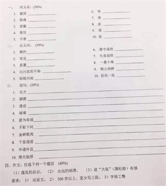 美國學生考中文 地獄級題目曝光 他驚：我中文程度0分