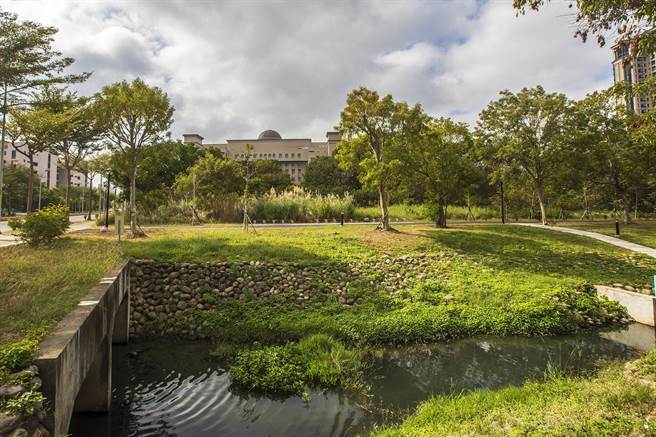 新竹縣總圖工程順利決標，基地位在新竹地檢署正後方，臨自強三路及東興圳水岸綠地。（羅浚濱攝）