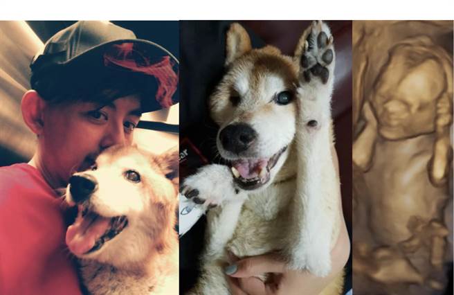 黄子佼贴出宝宝超音波照片与元气生前举手照，动作一模一样感动无数网友。（摘自黄子佼脸书）