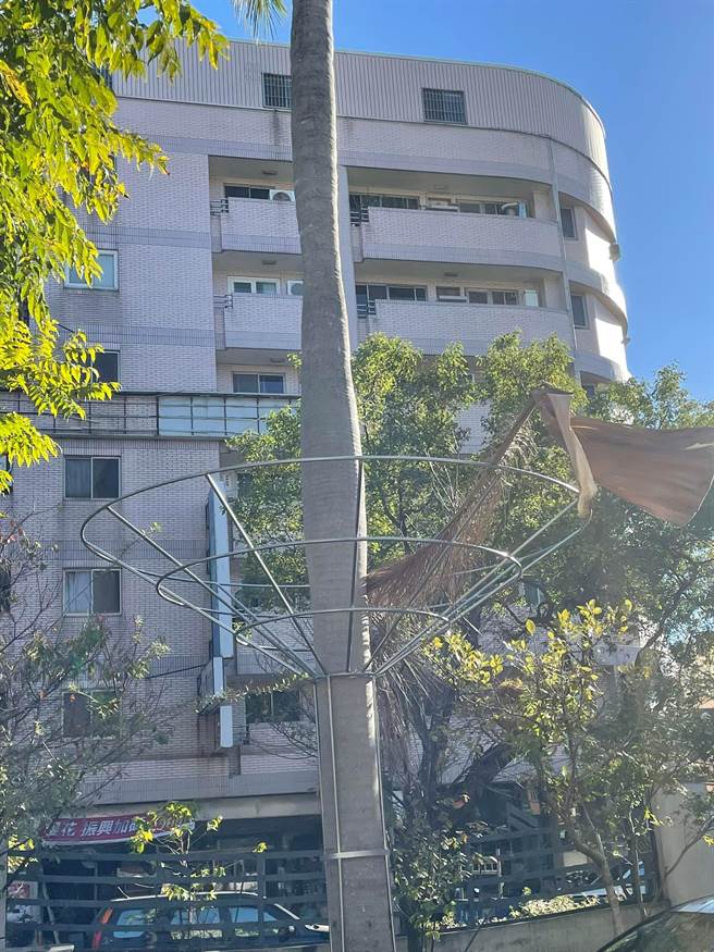 瑞穗国小伞型花架发挥功效，装好第3天即接补数片枯黄椰叶。（瑞穗国小提供／王文吉台中传真）