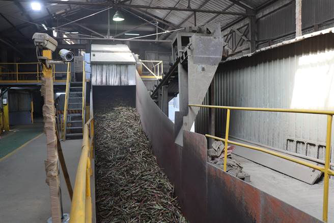 台南善化糖厂14日开工，制糖后的蔗渣有7成用于汽电共生燃料。（刘秀芬摄）