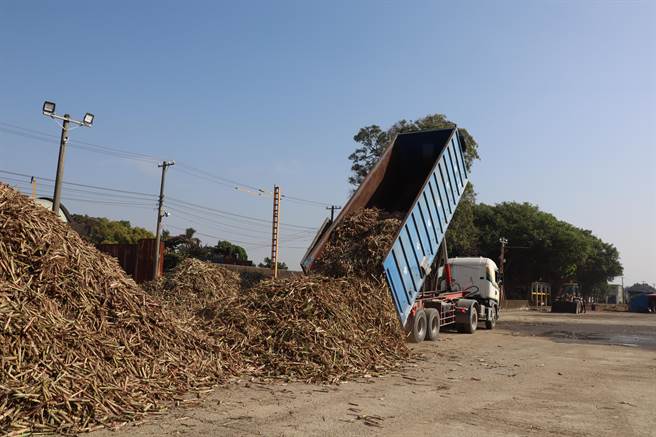 台南善化糖厂14日开工，制糖后的蔗渣有7成用于汽电共生燃料。（刘秀芬摄）