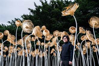 60萬片竹篾、180株不謝之花 藝術家打造《垂首的謝籃》展現生命力