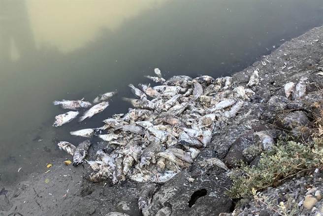 高雄市永安區烏林投居民抗議台電興達電廠施工導致魚類大量死亡。（民眾提供／林瑞益高雄傳真）