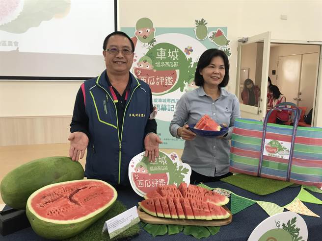 屏东车城乡公所将于19日举行西瓜节，盼藉採瓜体验等行销车城西瓜。（谢佳潾摄）