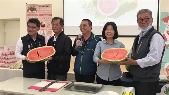 屏东车城乡公所将于19日举行西瓜节，盼藉採瓜体验等行销车城西瓜。（谢佳潾摄）