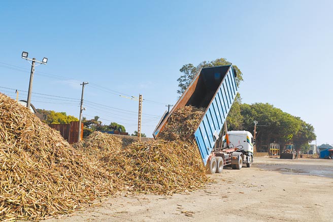 台南善化糖厂14日开工，制糖后的蔗渣有7成用于汽电共生燃料。（刘秀芬摄）