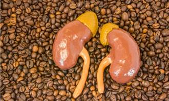 喝咖啡會增加腎臟病風險？有腎功能問題者這樣喝