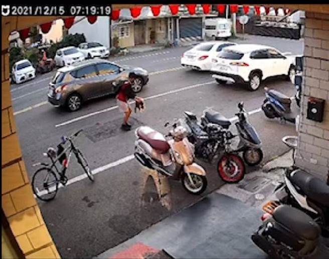 善良的國中生不捨貓咪橫倒在路邊，趕緊將單車停在路邊，徒手抱起貓咪的遺體移到路邊安置。（民眾提供）