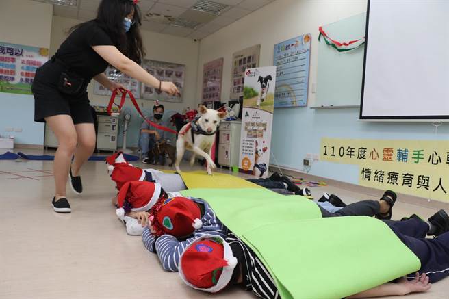 心辅犬与心智障碍青年一起玩踩踩踩游戏。（叶书宏摄）